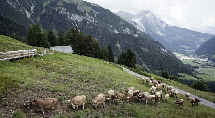 Pettneu am Arlberg