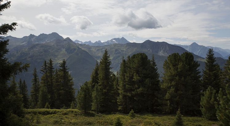 Zillertal Arena ©Tirol Werbung