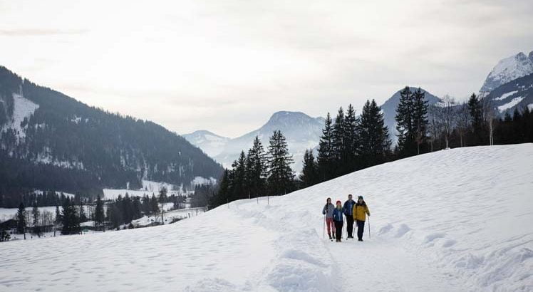 Mieminger Plateau Wintersporten ©Tirol Werbung / Hörterer Lisa