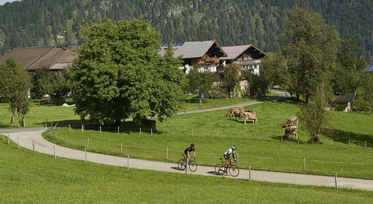 Kaiserwinkl Mountainbike ©Tirol Werbung / Marshall George