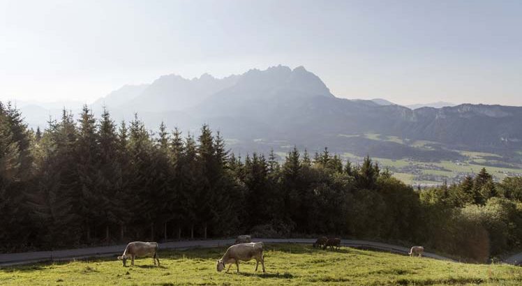St Johann im Walde ©Tirol Werbung / Bauer Frank