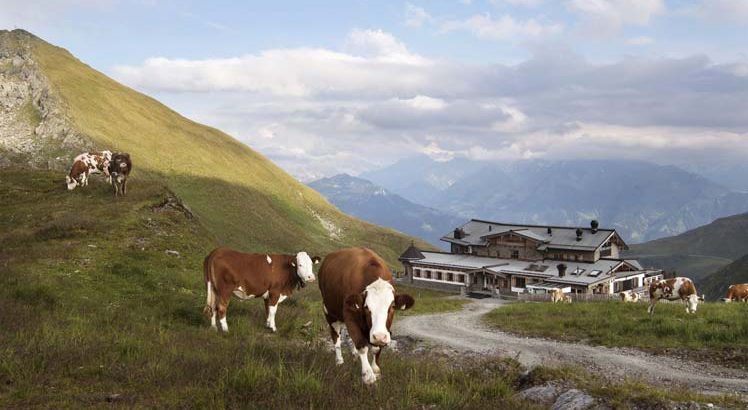 Zillertal ©Tirol Werbung / Bauer Frank