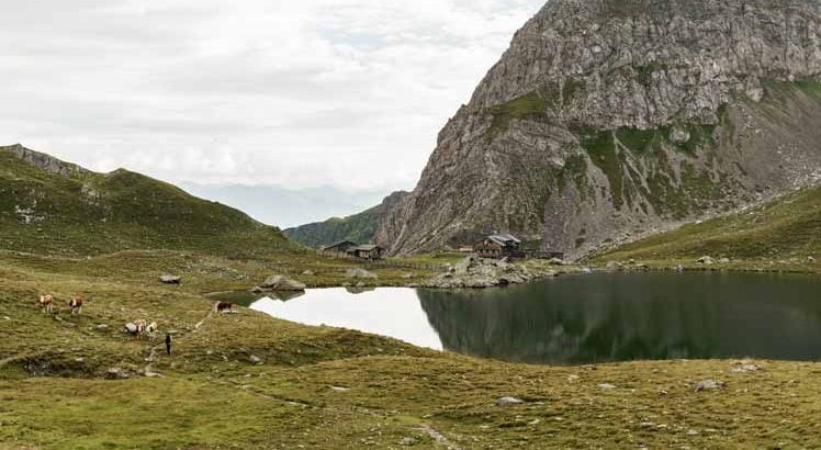 Hochpustertal ©Tirol Werbung / Schels Sebastian
