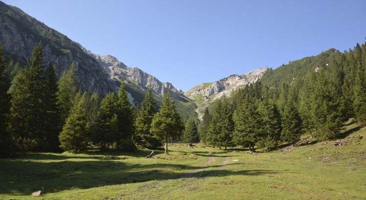 Trins ©Tirol Werbung / Wolf Helene