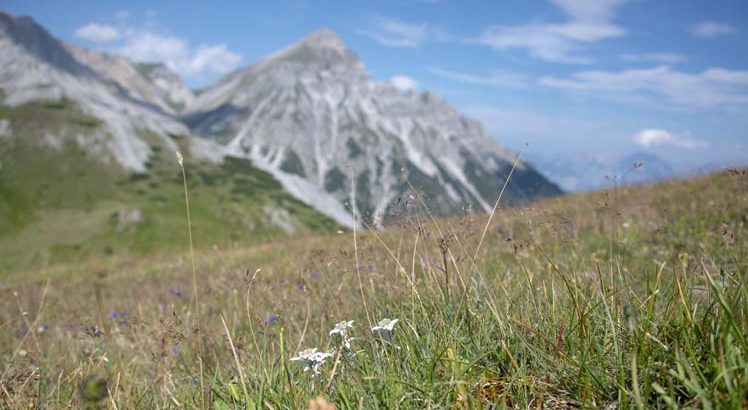 Wipptal ©Tirol Werbung / Fuchs Angela