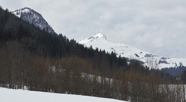 Fieberbrunn Steuböden ©Tirol Werbung / Schreyer David