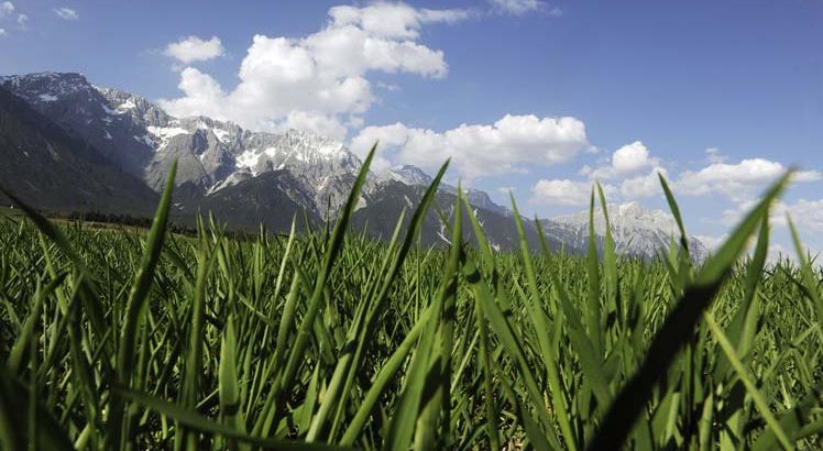 Mieminger Plateau Mountainbike ©Tirol Werbung / Aichner Bernhard