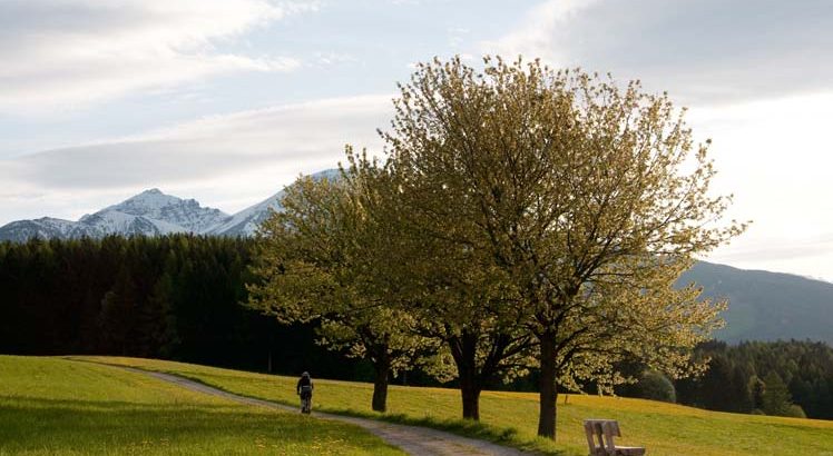 Sistrans ©Tirol Werbung / Defner Thomas