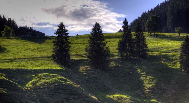 Wilder Kaiser Mountainbike ©Tirol Werbung / Uhlig Bernd