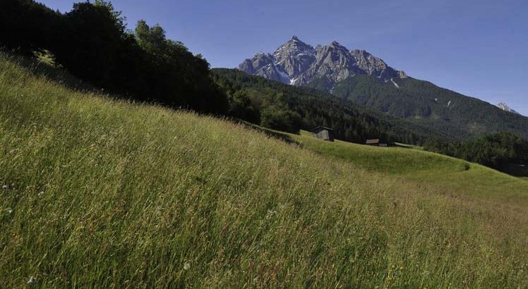 Mieders ©Tirol Werbung / Aichner Bernhard