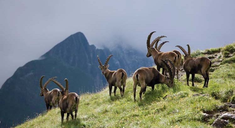 Zams ©Tirol Werbung / Ritschel Bernd
