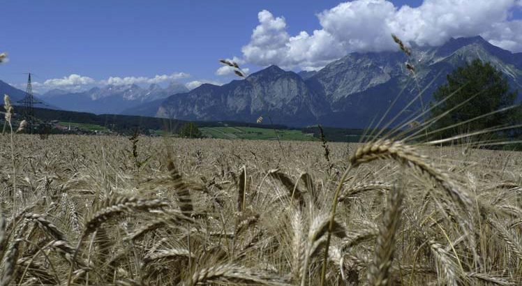 Patsch ©Tirol Werbung / Aichner Bernhard