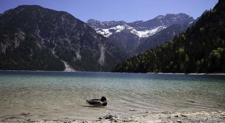 Naturparkregion Reutte ©Tirol Werbung / Aichner Bernhard