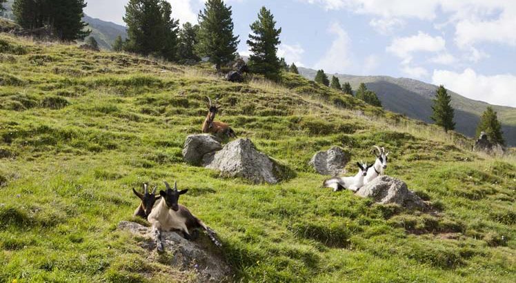 Sellraintal ©Tirol Werbung / Jenewein Markus