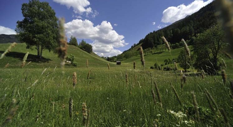 Matrei in Osttirol ©Tirol Werbung / Aichner Bernhard
