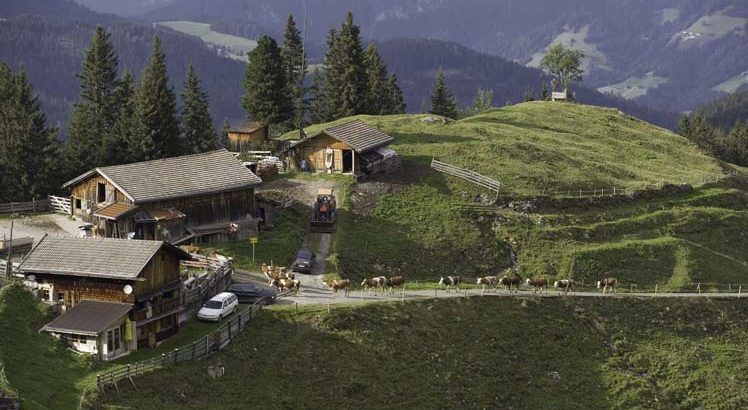 Wildschönau ©Tirol Werbung / Krings Maren