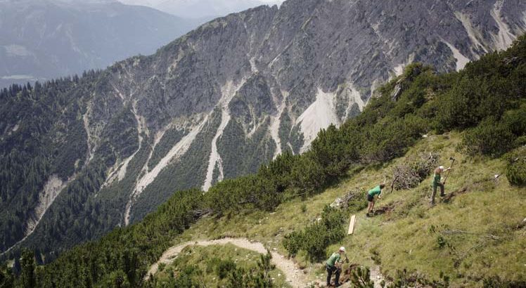 Mieminger Plateau Wandelen ©Tirol Werbung / Jarisch Manfred