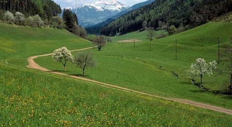 Hall - Wattens Wandelen