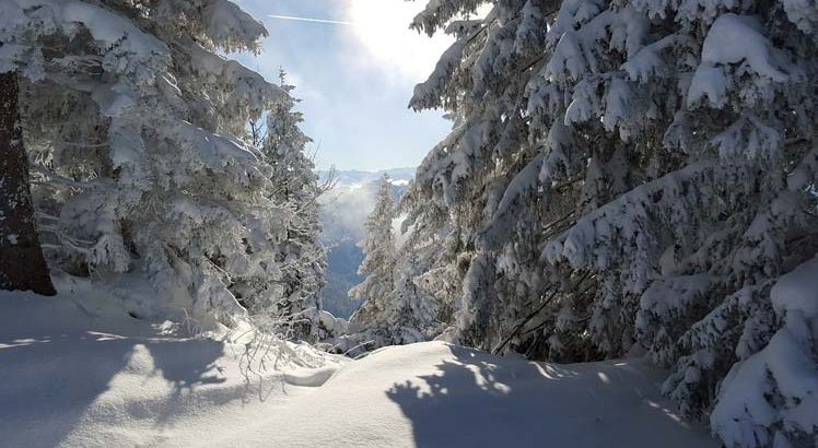 Kaiserwinkl Wintersporten
