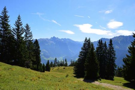 Karrer Alm Karrer Alm