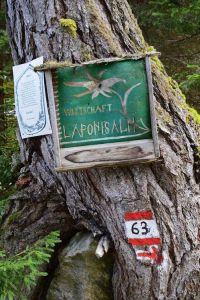 Laponesalm Laponesalm